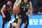 齐鲁内线双塔轰鸣，八一主场遗憾落败