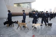 总决赛战前风云：警犬特警齐上阵，安保防线铸就钢铁赛场