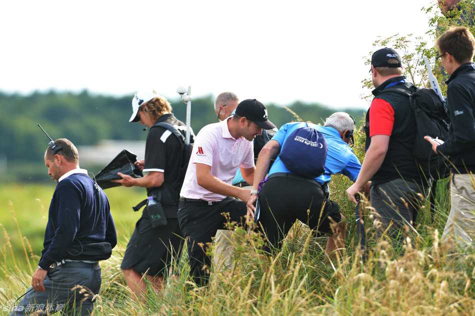 科普全神贯注在茂密长草中弯腰寻找小白球