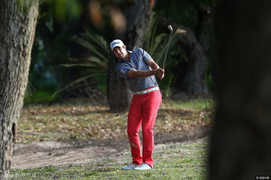 珀斯世界超级六洞赛本土老将拉姆福德霸气夺冠 日本选手谷原秀人正在果岭上仔细擦拭高尔夫球,为关键推杆做最后准备,神情一丝不苟。