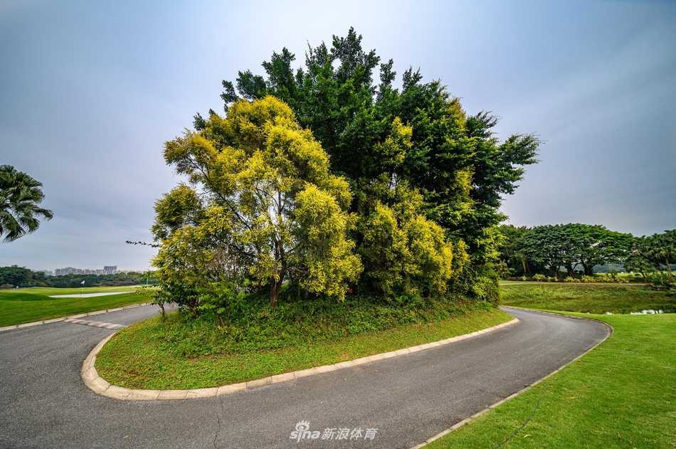 夕阳西下，金辉为球道与湖泊披上霞衣，赛事氛围宁静而热烈