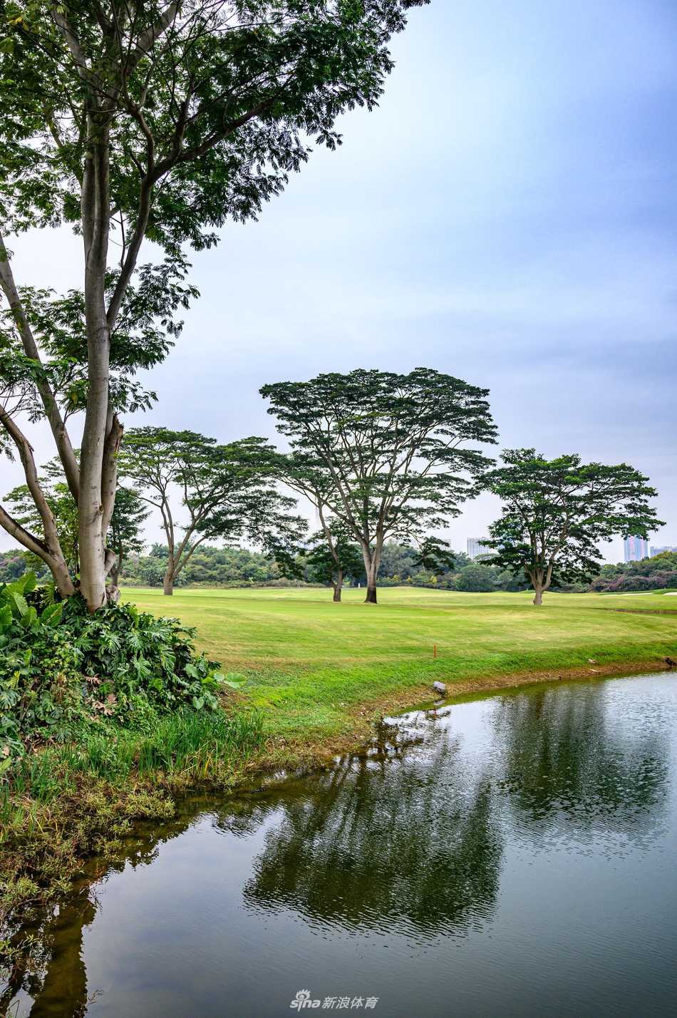 挺拔的棕榈树守卫在果岭旁，背景是澄澈如洗的蓝天与起伏的山峦