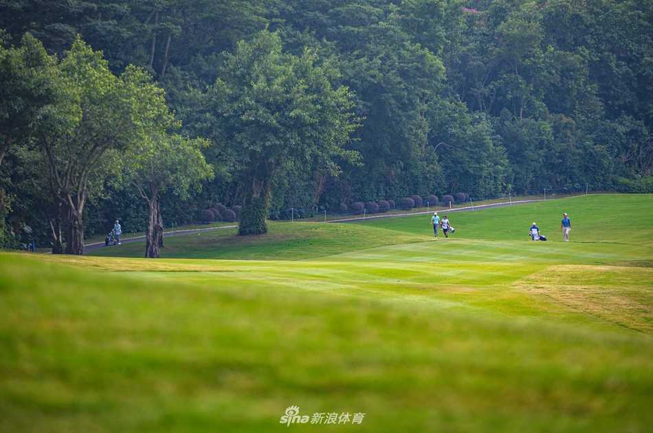 标准杆三洞的果岭被碧水环绕，如同绿洲明珠，考验着球员短杆的绝对精准