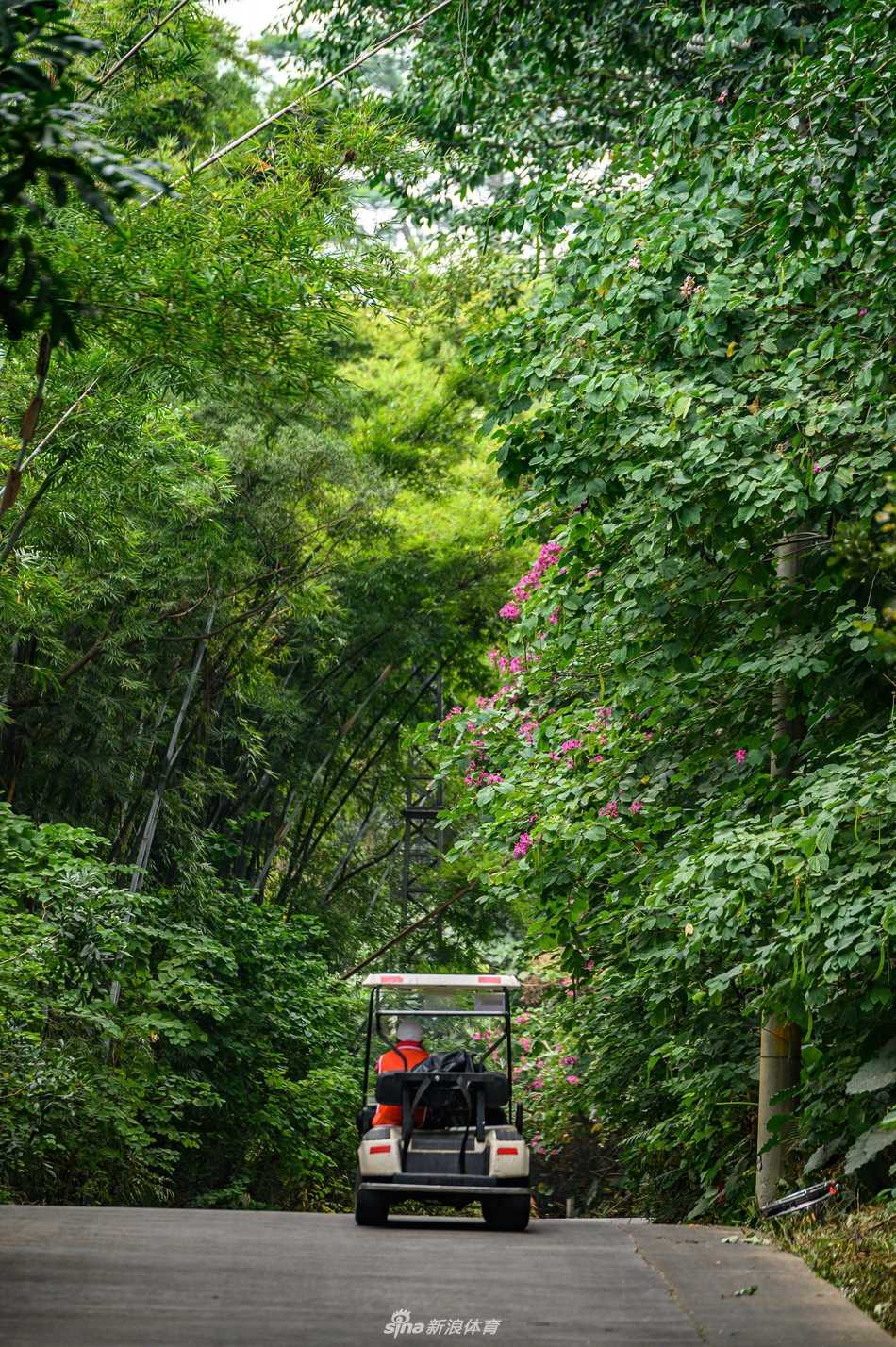 冠军之路的终章，第十八洞果岭在观众看台环绕中，静候英雄的最后一推
