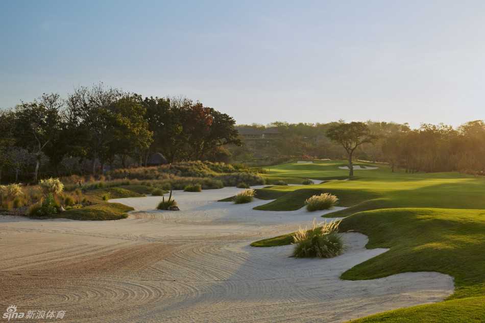 餐厅内景一览，精致的桌椅沐浴在柔和光线下，窗外是延伸向远方的绿意，构成一幅静谧的用餐画卷。