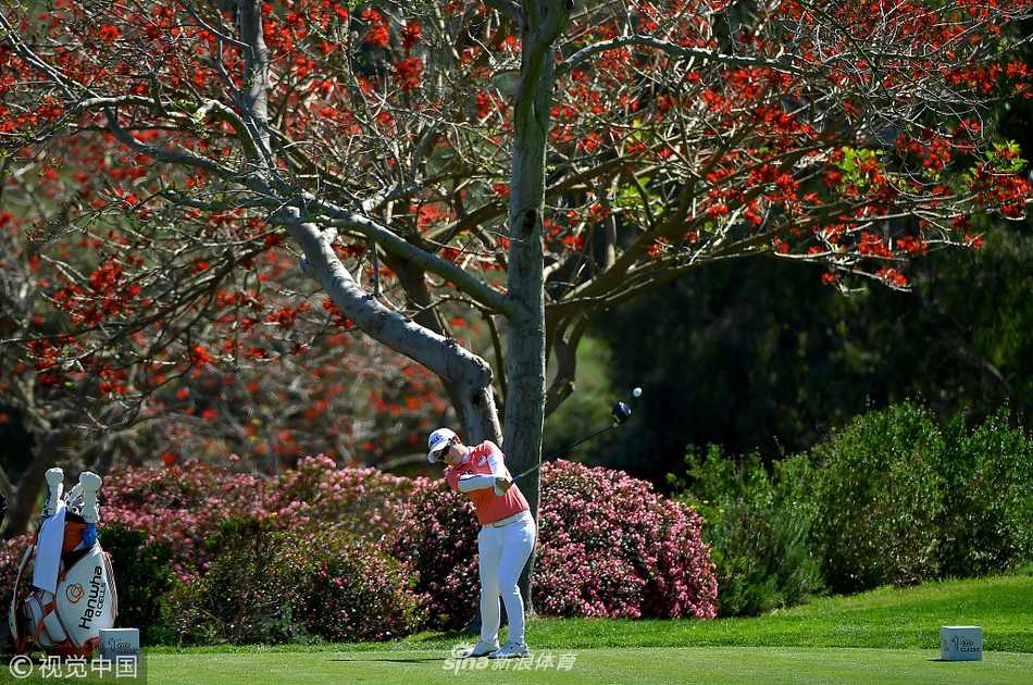 决赛轮比赛中，安娜·诺德奎斯特等名将同组竞技，在优美的球场环境中凝神击球，构成一幅世界顶级女子高尔夫赛事的生动图景。