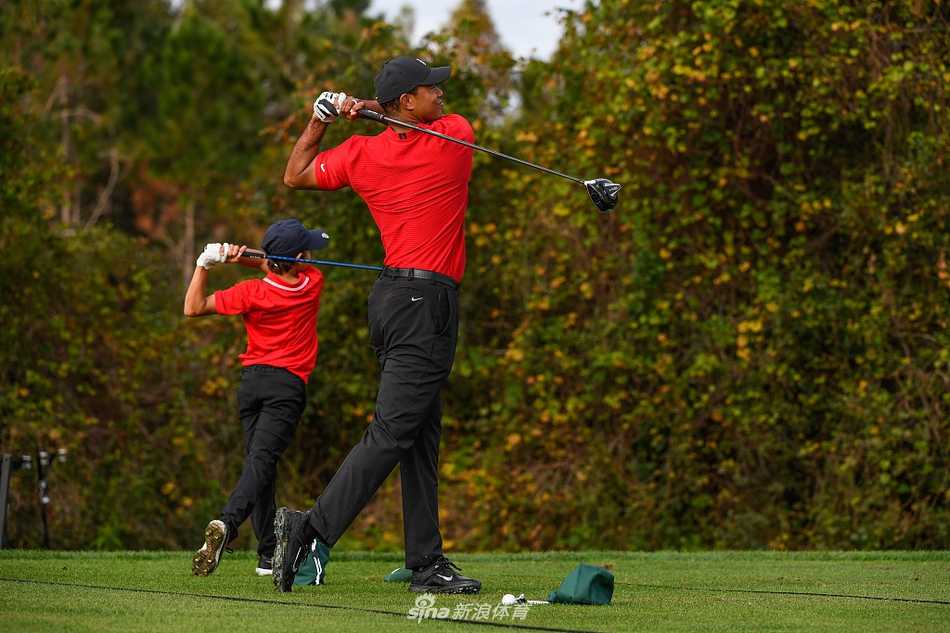 阳光下，伍兹父子并肩走向下一个球道，相似的背影勾勒出高尔夫世界最动人的传承画卷