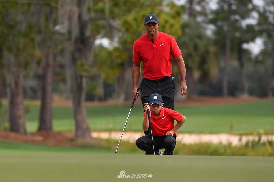 果岭上，老虎俯身细致地为儿子查理解读推杆线路，言传身教中尽显父爱