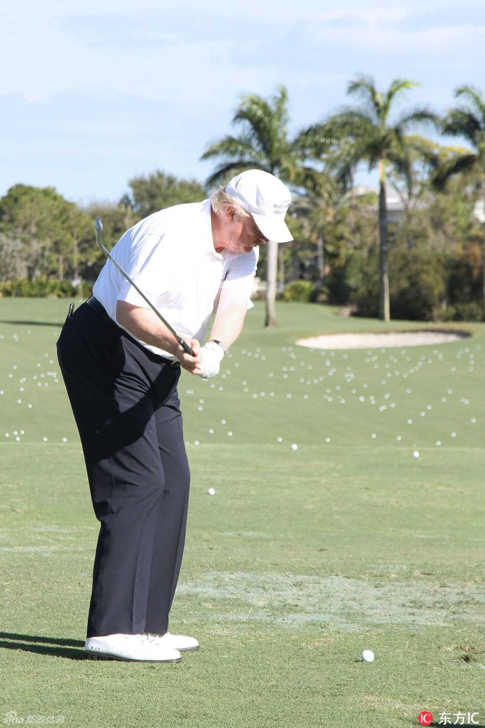 安倍晋三正在做上杆准备，姿势认真，神情专注地望着地上的高尔夫球
