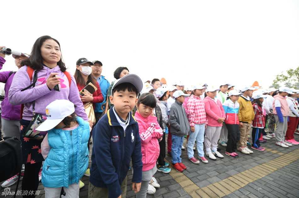 小男孩认真填写计分卡，阳光洒在他微微皱起的眉头上，显得格外专注