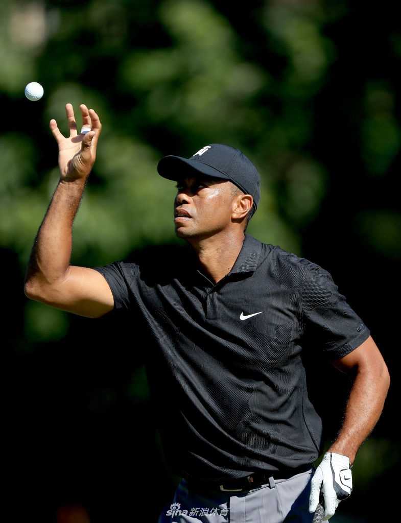 伍兹俯身捡起一颗高尔夫球，简单动作背后是日复一日对基本功的执着与专注