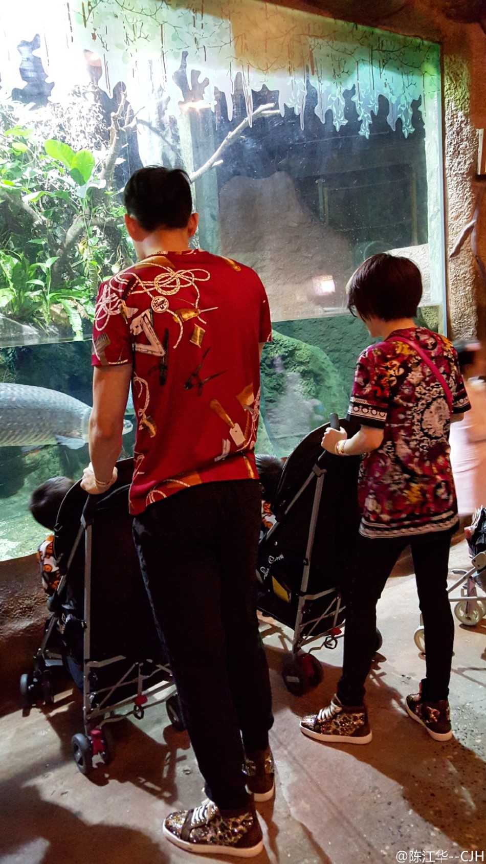 从追风少年到温柔奶爸,陈江华一家的幸福篮球人生 两个帅气的小家伙穿着同样的兄弟装,在户外奔跑嬉戏,陈江华则在身后稳稳地跟着,目光始终温柔地锁定在孩子们身上,守护着这份纯真的快乐。