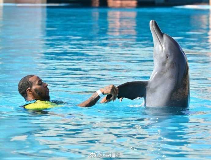 亚当斯轻轻托起一只俏皮的海豚，仿佛在他乡遇故知，这只海洋精灵也仰起头回应着这位来自远方的大个子朋友。