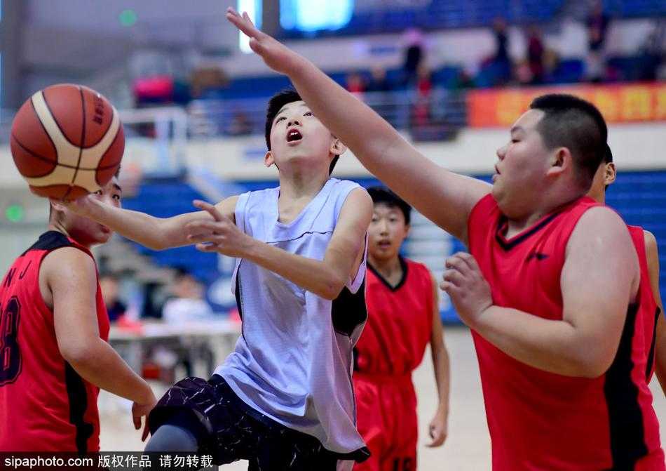 场边，辽青男篮主教练岳鹏飞双手抱胸，神情专注地盯着场上比赛，他的到来让小球员们更加卖力，仿佛看到了自己未来身披辽宁队战袍的样子。