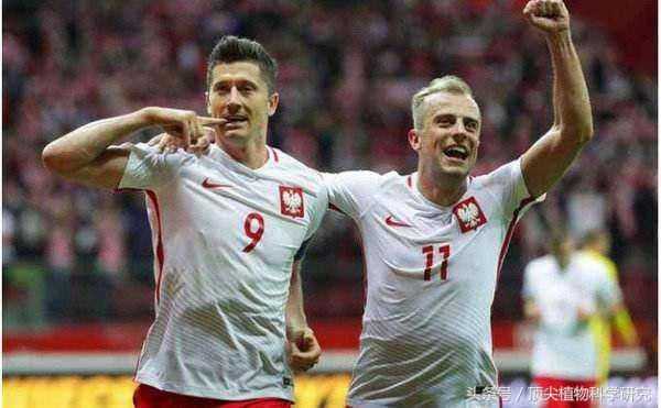 世界杯经典复盘：日本2-2塞内加尔，让球平手盘下的亚非双雄对攻战