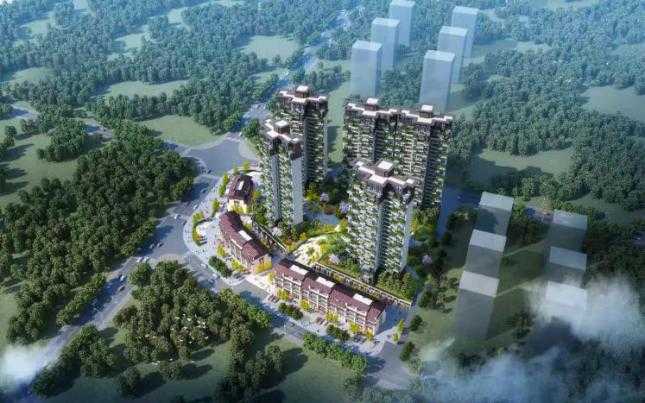 中甲收官战绿城2-1梅县铁汉 中甲收官战绿城2-1梅县铁汉