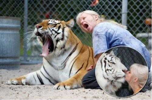 老虎大学4-1血洗墨西哥美洲 终结客场不胜魔咒