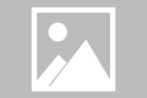 女人阴道图片，唇形分为哪几种及图片